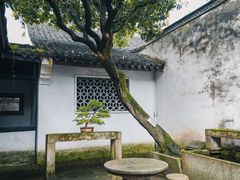 -绍兴鲁迅故里·沈园景区