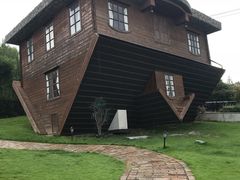 -金山农民画村-枫泾波兰倒置屋