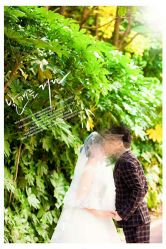 -麦莎MA3A摄影工作室(美兰金邸店)