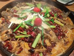-老板恋上鱼(环山路店)