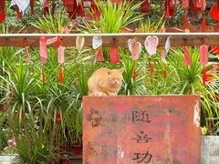 -福州开元寺
