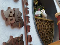 -大鸽饭(岗顶店)