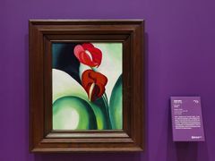 -德基艺术博物馆