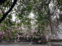 -深圳国际园林花卉博览园