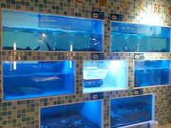 水产区-大河宴椒麻鱼(嘉和园店)