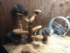 -成都浩海立方海洋公园