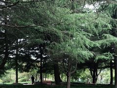 -黄兴公园