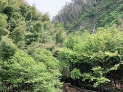 -天柱山风景区