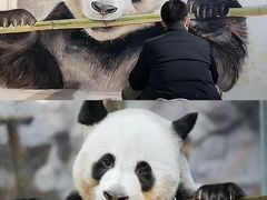 -栾川竹海野生动物园