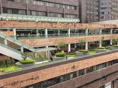 -香港大学