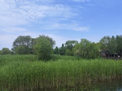 -苏州太湖湖滨国家湿地公园