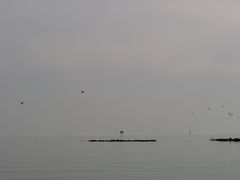 -苏州太湖湖滨国家湿地公园