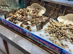 -九寸花汀(摩天活力城店)