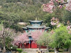 -黑龙潭公园