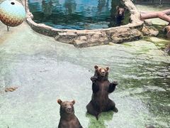 -深圳野生动物园
