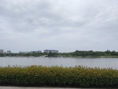 -眉山湿地公园(东坡区)