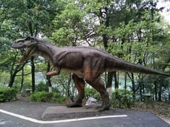 -石燕湖生态旅游景区