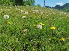 -玉渡山自然风景区