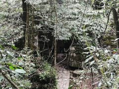 -梭布垭石林景区