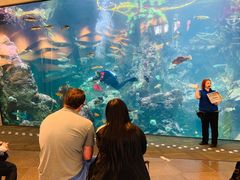 -西雅图水族馆