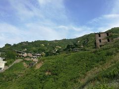 -枸杞岛