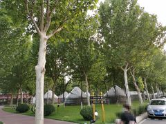 -九十九顶毡房(阜石路店)