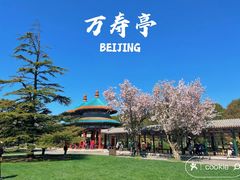 -天坛公园