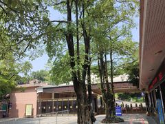 -广州莲花山旅游区
