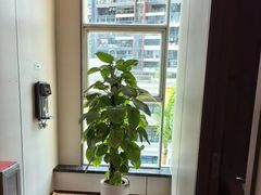 -通透堂中医·精准推拿(旗舰店)