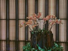 -上海璞麗酒店