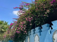 -三圣花乡旅游区