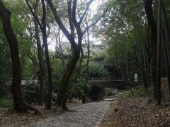 -穹窿山景区