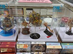 -鹏佳腾学生文创