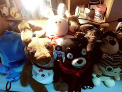 -PAWTOY爪e玩偶店(天兴罗斯福店)