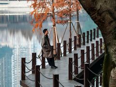 -重庆彩云湖湿地公园