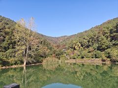 -九龙潭景区