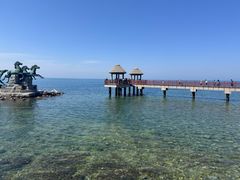 -养马岛旅游度假区