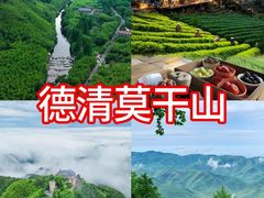 -莫干山风景区