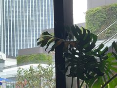 -SHAN山(前滩太古里店)