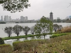 -洋湖国家湿地公园