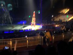 -灵玲国际马戏城