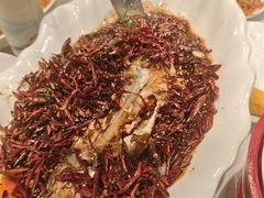 -百姓渔村(南中环店)