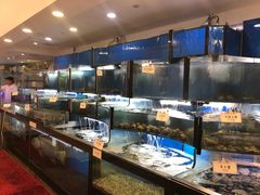 水产区-顶鲜101美食美景餐厅