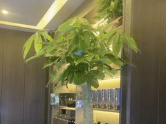 -鹿栖.精油SPA(金山世纪城店)