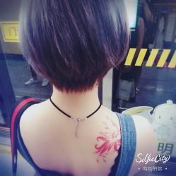 -SALON V