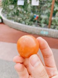 -梦田都市农场(银泰城店)