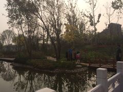 -武清南湖绿博园