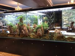 -泰谷酒店·太古码头闽菜自助餐厅