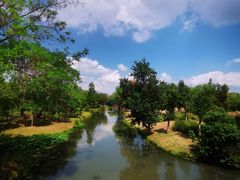 -溱湖国家湿地公园