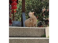 -福州开元寺